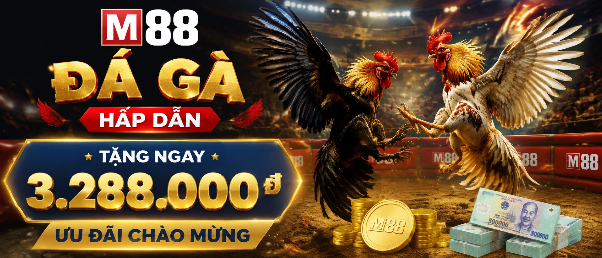 Danh mục Đá Gà trực tiếp và khu vực hỗ trợ