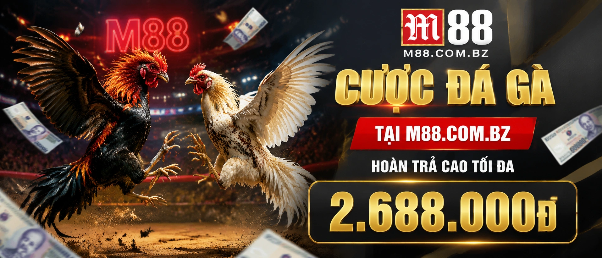 Giao diện Đá Gà giải trí với bố cục trực quan